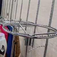 رگال گردون دو عدد