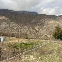 خونه باغ فروشی