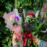 گل برای روز دختر|گل و گیاه طبیعی|اصفهان, شمس آباد|دیوار