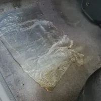 پراید|خودرو سواری و وانت|پیشوا, |دیوار