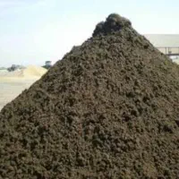 کودمرغی|خدمات باغبانی و درختکاری|جاسک, |دیوار
