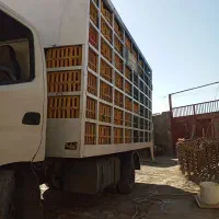 اتاق مرغی|قطعات یدکی و لوازم جانبی|کوهنانی, |دیوار