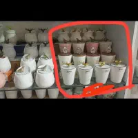 پاسماوری|ظروف نگهدارنده، پلاستیکی، یکبارمصرف|سبزوار, شرق کال شمالی|دیوار