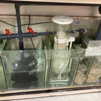 اکواریوم ابشور ۱۲۰