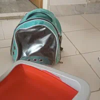 کیف و تشت گربه خانگی در حد نو