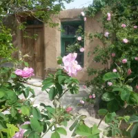 اجاره کلبه سنتی  نزدیک دریاچه