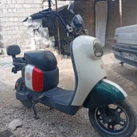 متور پاکشتی برقی