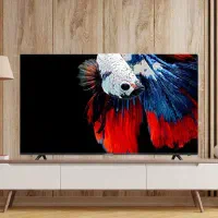 تلویزیون دوو|تلویزیون و پروژکتور|یزد, |دیوار