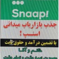 بازاریاب اسنپ میدانی