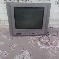 تلوزیون
