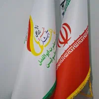 استخدام نیروی مشارکت