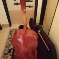 ویولنسل همراه با هاردکیس