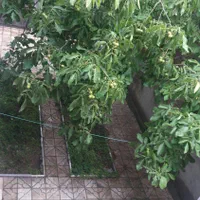 سوییت ویلا نزدیک پل معلق|اجارهٔ کوتاه‌مدت آپارتمان و سوئیت|مشگین شهر, |دیوار