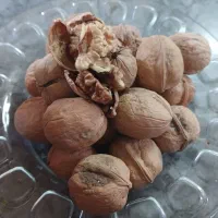 محصولات ارگانیک|خوردنی و آشامیدنی|پاکدشت, پاکدشت (مامازند)|دیوار