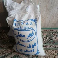 برنج فجر گیلان