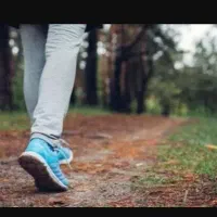 پارنتر پیاده روی خانم