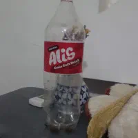 تعدادی بطری نوشابه ۱/۵