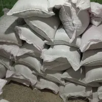 گندم کوهدشت .بوجارشده . تمیز|خوردنی و آشامیدنی|کوهنانی, |دیوار