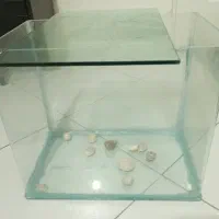 آکواریوم