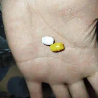 مهره|کلکسیون اشیاء عتیقه|کرمان, |دیوار