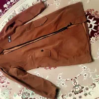 پالتو جنس کبریتی