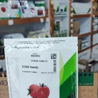 بذر گوجه بریویو باسیمو بدرو برنتا|عمدهفروشی|بندرعباس, |دیوار