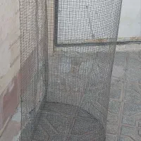 قفس|لوازم جانبی حیوانات|مشهد, ابرغن|دیوار