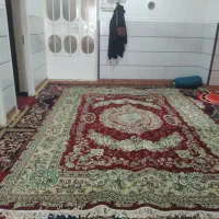 فرش 9متری تمیز