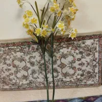 دو شاخه بلند گل نرگس و گندمی