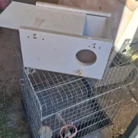 قفس و لونه دسته دوم|لوازم جانبی حیوانات|بیرجند, |دیوار