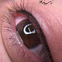 فیبروزبه سبک(کرکی). بنمژه .شیدینگ لب|خدمات آرایشگری و زیبایی|کاشان, زیدی|دیوار