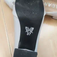 کفش مجلسی و کیف مجلسی|کیف، کفش، کمربند|تویسرکان, |دیوار