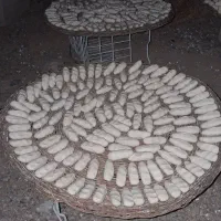 کره گاوه قروت غره قورت