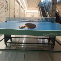 میز پینگ پنگ