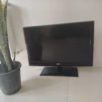 24 کاملا سالم