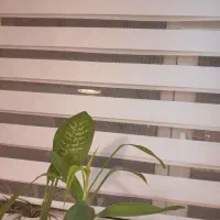 دوعددپرده زبرانو