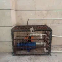 جوشکاری سیار|خدمات پیشه و مهارت|کرمانشاه, |دیوار