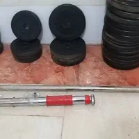 بدنسازی دمبل هالتر