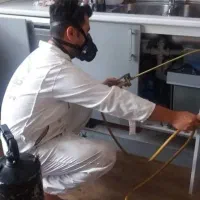 شرکت سمپاشی سوسک ساس موش سم پاشی باضمانت کتبی|خدمات نظافت|تهران, سعادت‌آباد|دیوار
