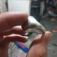 شجر قاعن با ۴ مهر اصالت تمام دستساز
