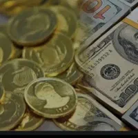 فروشنده خانم