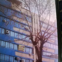 مغازه میدان شهرداری