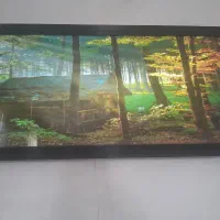 تابلو|تابلو، نقاشی، عکس|ساوه, |دیوار