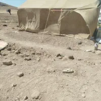 چادر