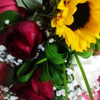 پروژه سانیار افرین ایرانیان