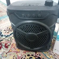 اسپیکر با کارتن