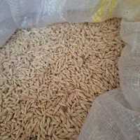 دانه مرغ .گندم.جو .ذرت خورده گندم مخلوط کفتری|لوازم جانبی حیوانات|شیراز, سیاه سنگ|دیوار