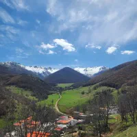 اجاره مغازه غذاخوری