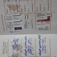 پامر|سگ|اردبیل, |دیوار