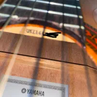 گیتار یاماها c70|گیتار، بیس، امپلیفایر|محمدشهر, همایون ویلا|دیوار